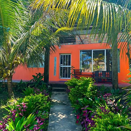 Otorongo Guest House Iquitos Extérieur photo