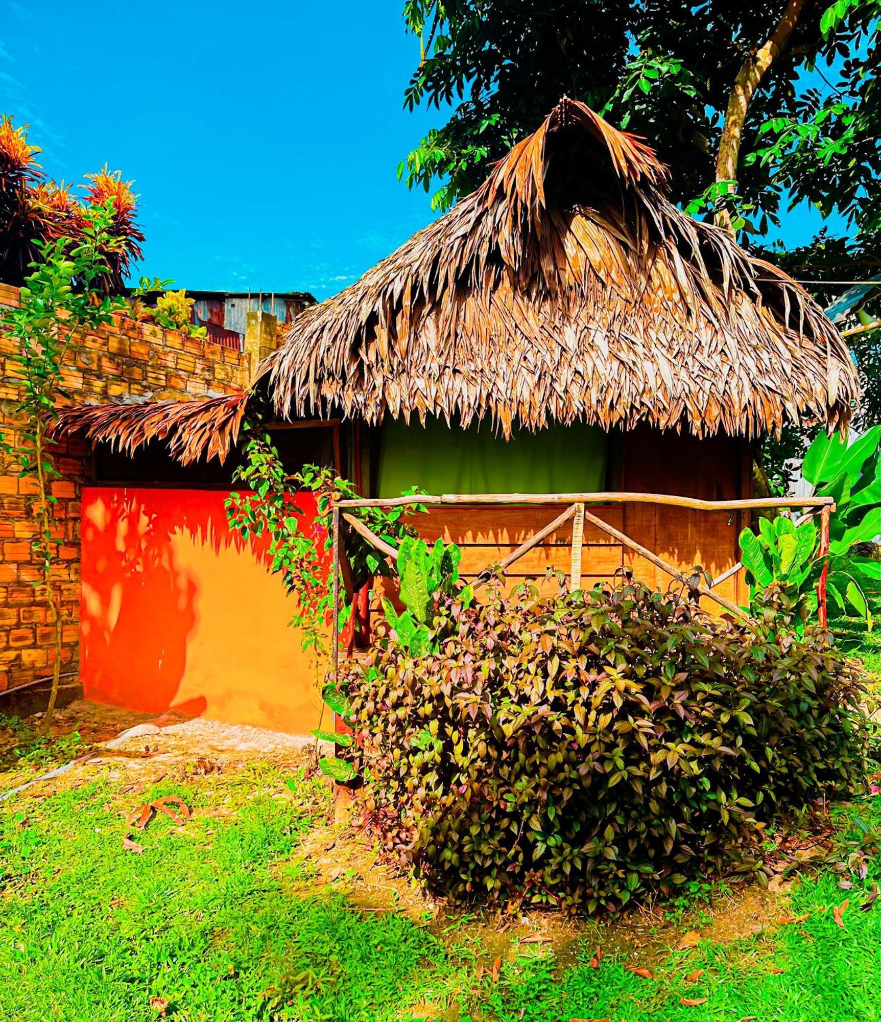 Otorongo Guest House Iquitos Extérieur photo